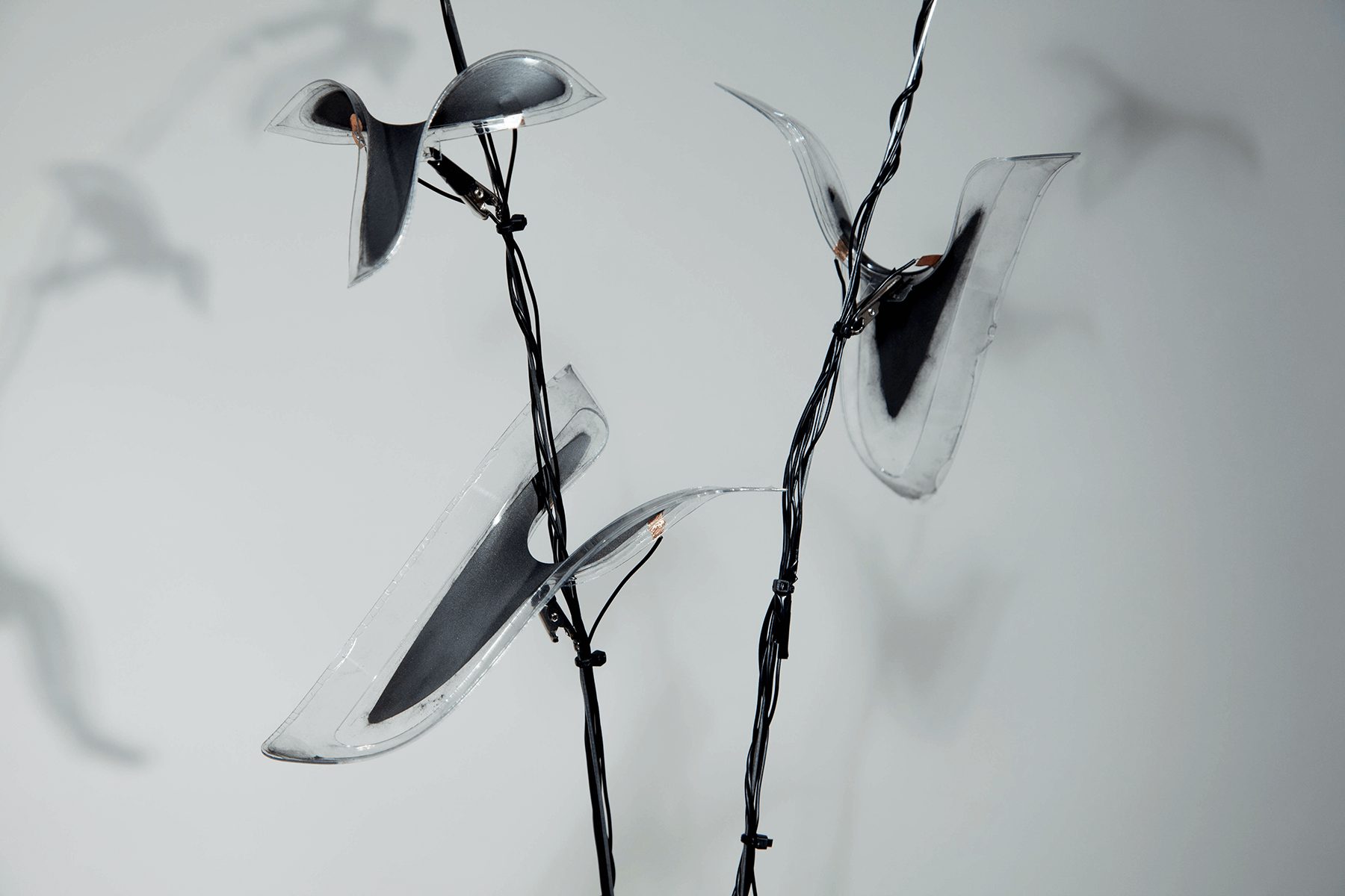 Manufactured Nature