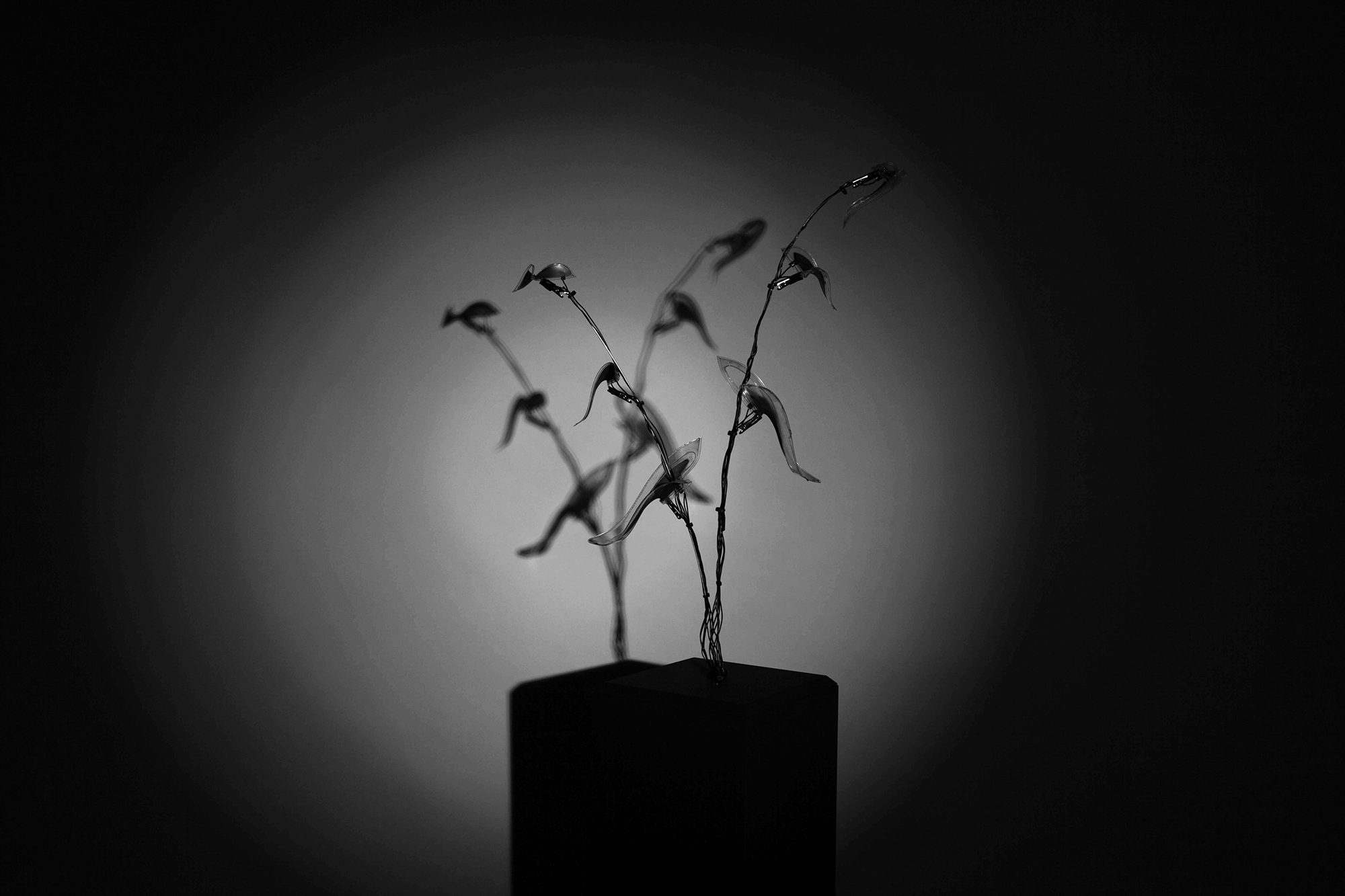 Manufactured Nature
