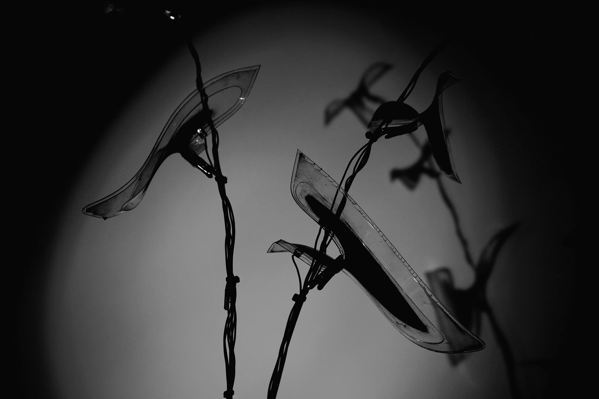 Manufactured Nature